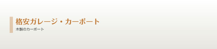 �i���K���[�W�E�J�[�|�[�g