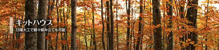 �L�b�g�n�E�X